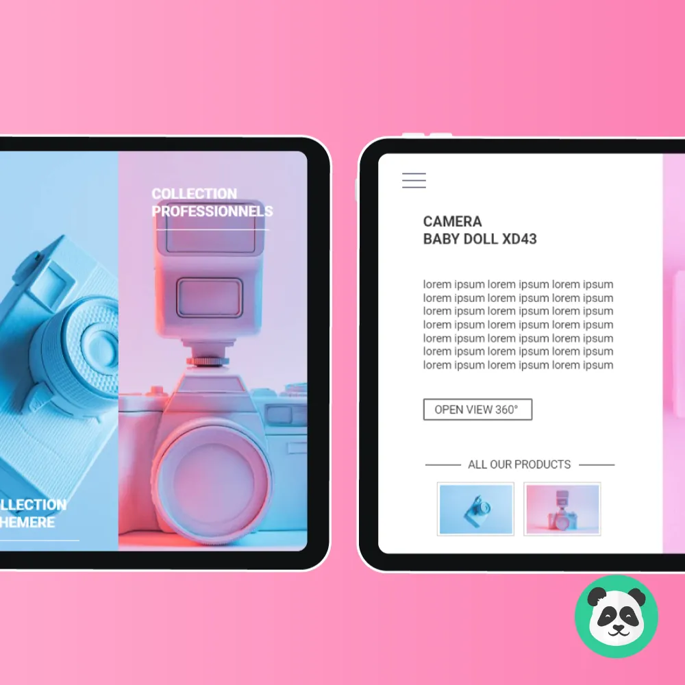 Cameras Interactive Brochure