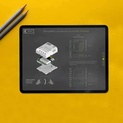 Ebook Nanomodules