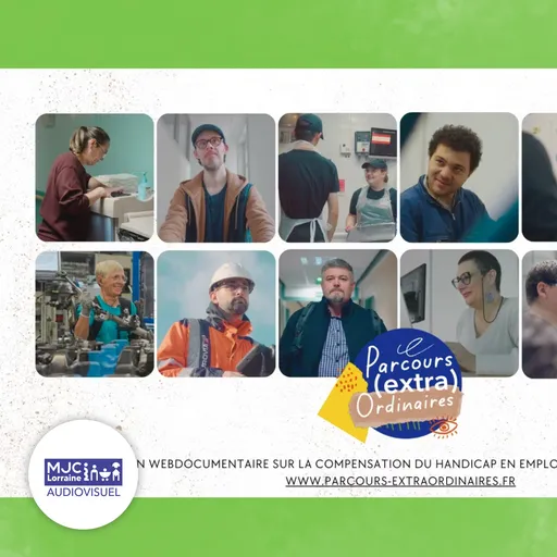 A learning web documentary on disability in work and training